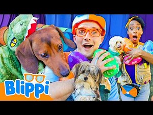 Blippi’s Jurassic Puppy Show! 🦖🐶