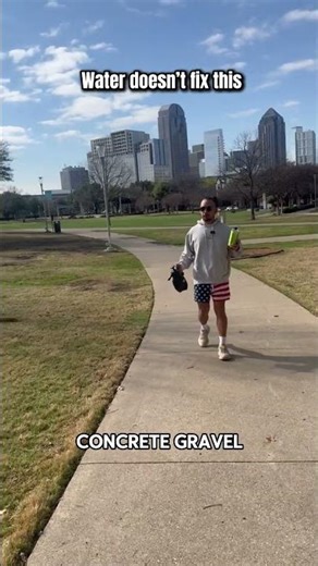 Why Hosing Down Pet Areas Does Not Fix the Smell