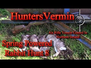 Air Rifle Hunting, Spring Powered Rabbit Hunt 8