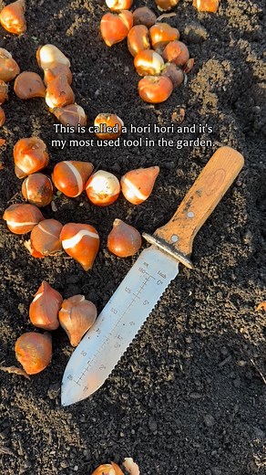 The Hori Hori - the one tool every gardener secretly wants. Originally used by Japanese farmers to dig up mountain vegetables, the name Hori Hori literally means “to dig, dig.” It’s part trowel, part knife, part ruler - a true multi-tasker. Perfect for planting bulbs, dividing perennials, slicing through roots, or prising out deep-set weeds. The curved, sharpened blade makes it surprisingly satisfying to use (and yes, it’s brilliant for opening compost bags too 😆). A timeless, practical tool th