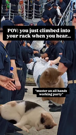 If you're lucky you slept right through it! #shipmatestickers | Shipmate Stickers