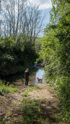 R E S C H I O - Estate, Hotel & Houses on Instagram: "It takes skill to read the earth, checking who has passed before you and when. Fallow deer tracks on dew, wild boar trails through chestnut woods, pheasants leave a feather while darting through the grass. The gamekeeper recognises them as a friend’s signature. The soundscape too as the frogs start their chorus, owls stir at night, and every path leads deeper into a world ruled by instinct and light #reschio #tuscanyitaly #umbria #luxuryestat