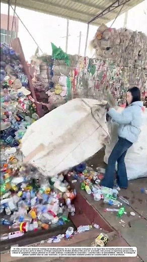 Reciclaje de botellas plásticas: Cómo el trabajo duro convierte la basura en recursos valiosos