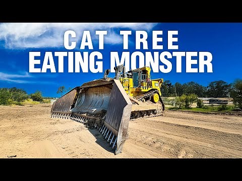 Land Clearing Machine D10 Bulldozer