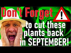 Cut these plants back now in September, before it's too late. Prune, Trim