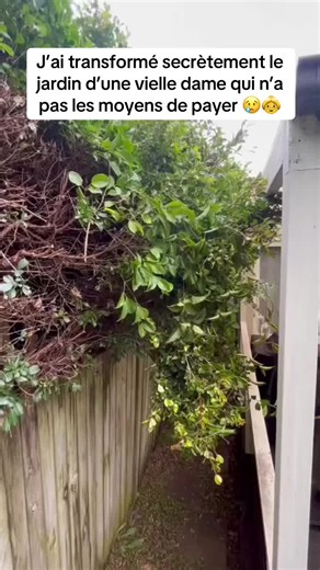 J’ai transformé secrètement le jardin d’une vielle dame qui n’avait pas les moyens de payer donc je l’ai fait gratuitement #jardin #jardinage #pourtoi #CapCut