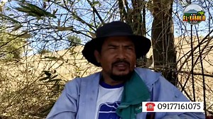 Iba ang nagagawang tulong ng chc agritech sa tanim na sibuyas nila sir Isagani boss Kanyo. Wacth full video 🧅👍 #elkabukidchcagritech #buhaymagsasaka #buhayprobinsya #rellium #harvesttime #alagabgchcagritech @followers More videos click 👇👇https://youtube.com/@elkabukid?si=np0E7XC2IUCgPf0v | El Kabukid Agritech