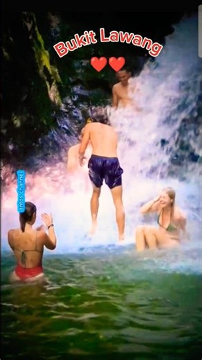 ❤️ Romantic & Exotic! The Charm of Bukit Lawang #shorts #bukitlawang #youtubeshorts
