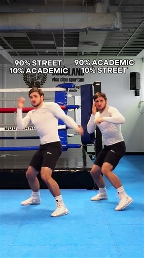 90% Street Boxing vs 90% Academic Boxing 🥊