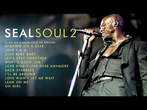 Seal - Love T.K.O. [Audio]