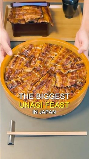 The Biggest Unagi Feast in Japan