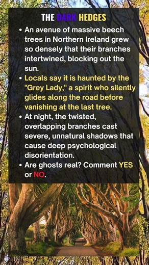 The Haunted Road Where the Sun Disappears #facts