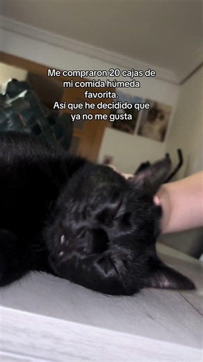 16 de julio de 2026