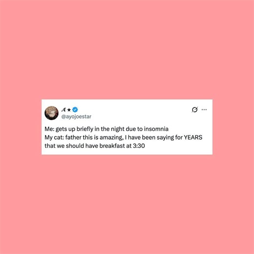 26 of the funniest posts about cats and dogs this week (June 27-July 3)