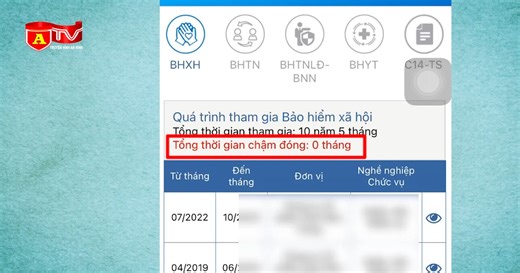 Tra cứu quá trình tham gia BHXH - BHTN chính xác trên VssID