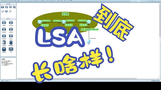 12、1类LSA到底长啥样