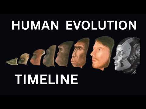 Human Evolution: The Complete Timeline