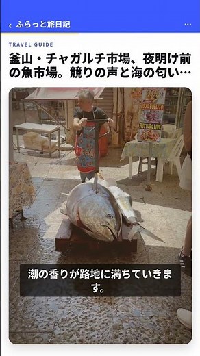 釜山・チャガルチ市場、夜明け前の魚市場。競りの声と海の匂いが漂う路地を、ゆっくり歩く。 #Shorts