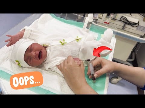 "Newborn Blood Collection in NICU | What Really Happens