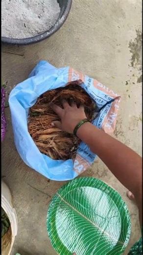 Easy compost making from kitchen waste l Compost ತಯಾರಿಸುವ ವಿಧಾನ ll How to make compost l Gardening