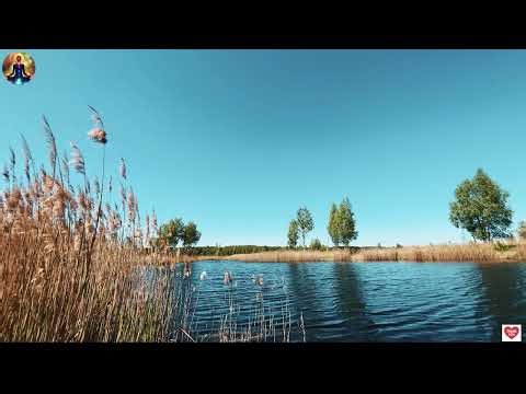 Happy Yoga Meditation Music