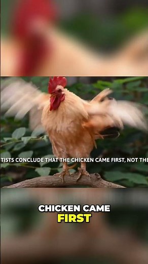 Fascinating Facts: Blood Flow, Chicken, and Penrose Tiling