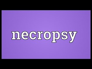 Necropsy Meaning