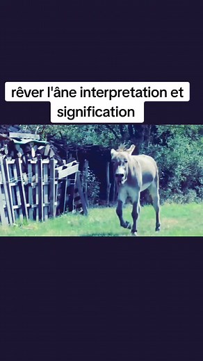 Interprétation des rêves de l'âne: Signification et symbolisme
