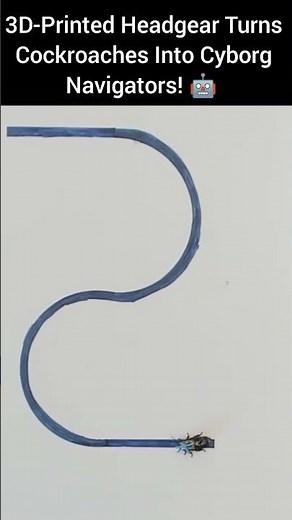 3D-Printed Headgear Turns Cockroaches Into Cyborg Navigators! 🤖🪲 | Robotics Breakthrough