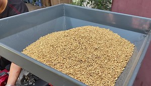 174K views · 3.7K reactions | Commercial type Rice huller with Diesel engine . Install 1 unit in your Village | Dawn Agro Machinery | Facebook