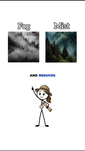 Fog vs Mist — What's the Difference?