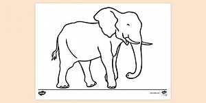 Elephant Colouring Sheet