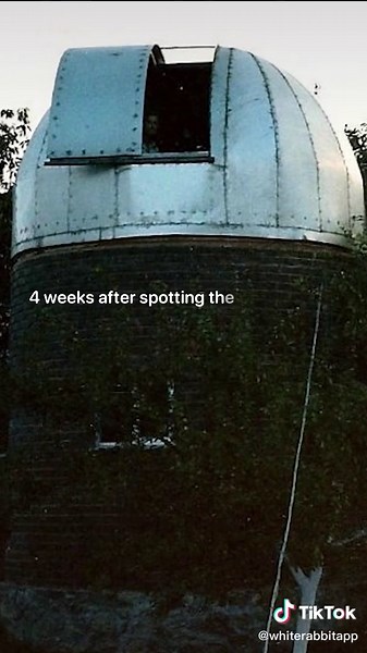 #whiterabbit #filmbook | white rabbit