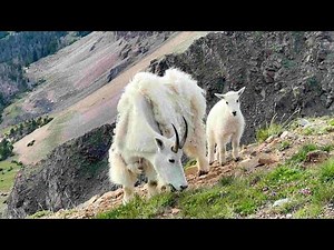 Absaroka Beartooth Wilderness