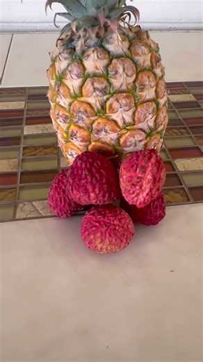Pineapple and Lychees
