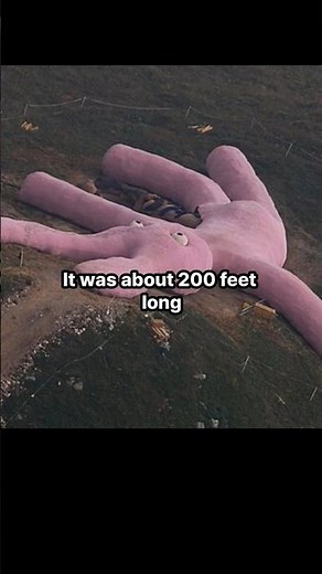 This Bunny Was Seen On An Italian Mountain #art #stories