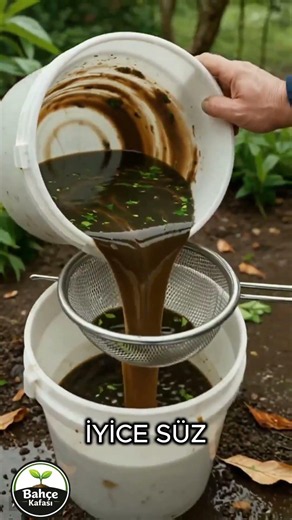 Boost Your Plants with Nettle Fertilizer!