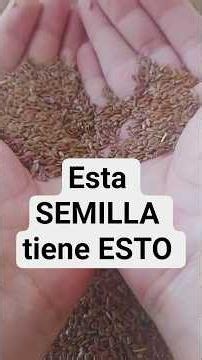 🌾 Lo que la linaza le aporta a tu cuerpo y casi nadie lo sabe #bio #tips #cocina
