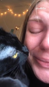 15M views · 10K reactions | Once again, another example of why we don't deserve animals! (Via - Alyssa G.) | The Pet Collective | Facebook