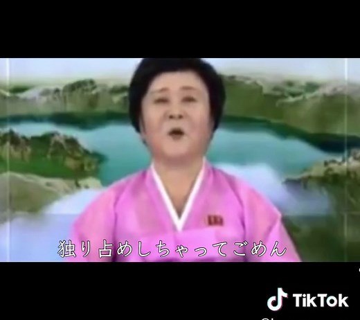 可愛くてごめん北朝鮮アナウンサーの歌