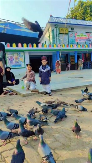 animal lover ❤️ anas