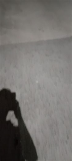 Offspring y Jimmy Eat World: Música y Conexiones