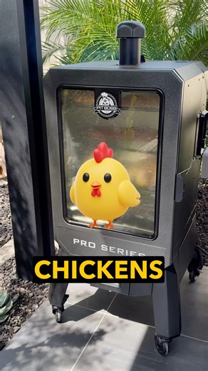 Testing My New Pit Boss Pro Series Smoker with Chicken and Ribs