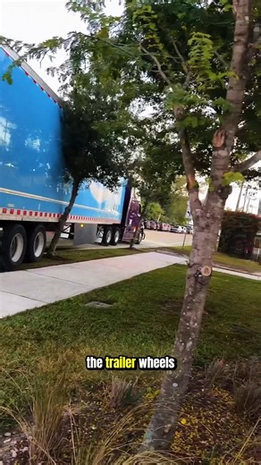 truck driver unaware of crossing tree#shortvideos #americanhistory