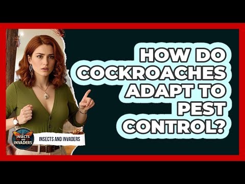 How Do Cockroaches Adapt To Pest Control? - Insects and Invaders