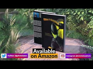 Insect Symphony: A Comprehensive Guide to Insect Macro Photography