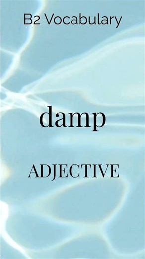 Learn English Vocabulary: Damp Meaning & Example