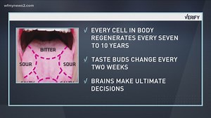 Is it true that your taste buds change every 7 years? [2025] | QAQooking.wiki
