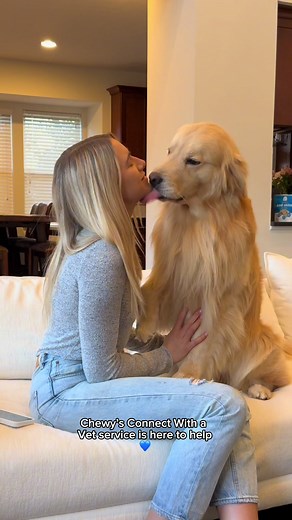 Chewy's Connect with a Vet Service: Expert Advice for Your Pet