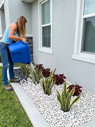 This Plain Side Yard Became a Clean Modern Garden | garden